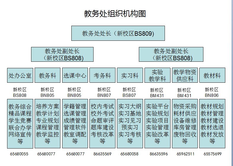 教务处组织机构